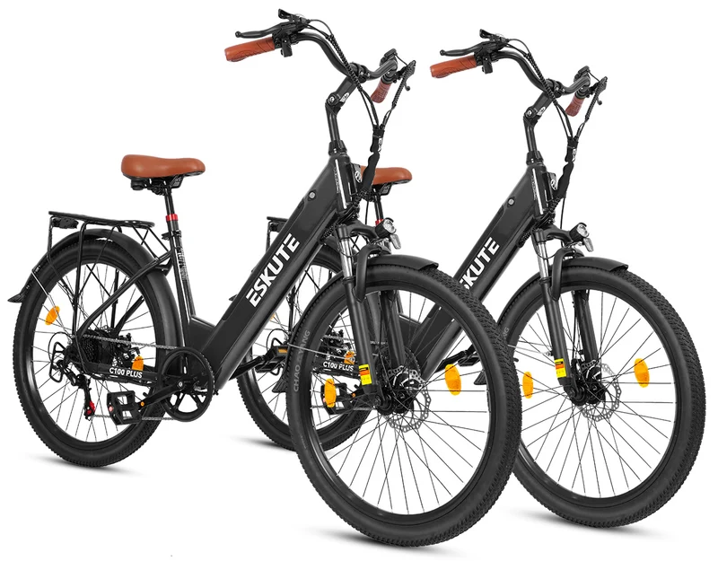 Eskute C100 Plus City E-Bike*2