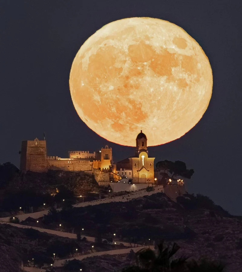 TeleCular 50X Teleobjektiv