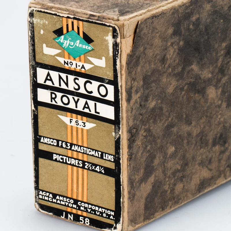 Royal No.IA (Silver Fox)