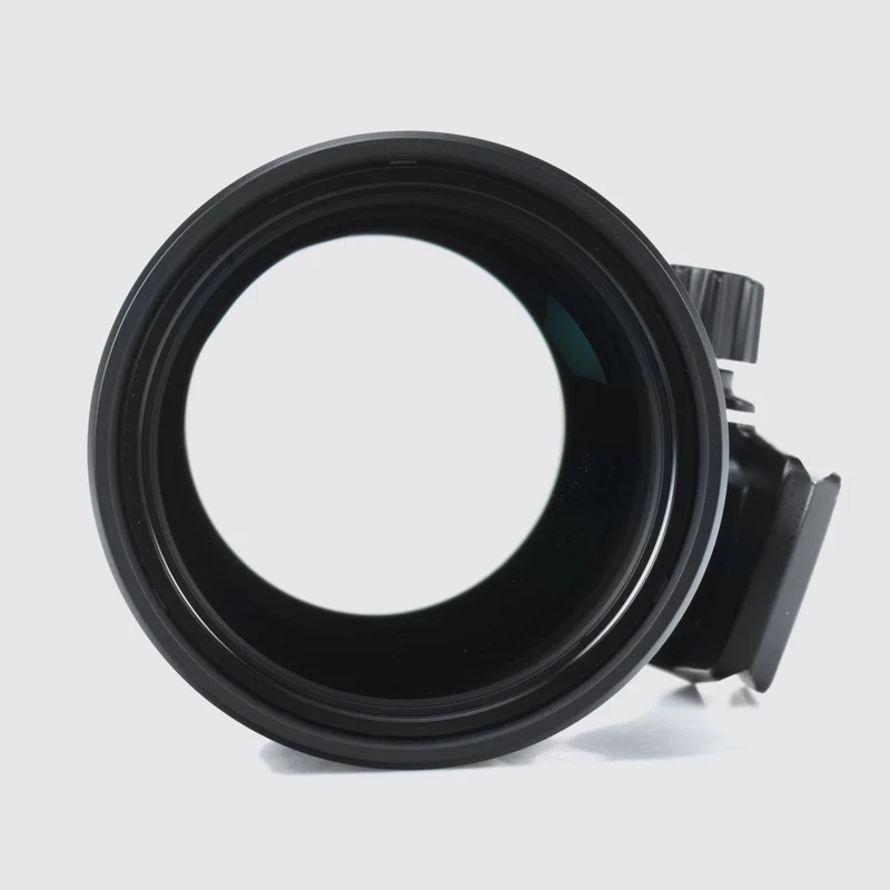 4/300mm IS PRO