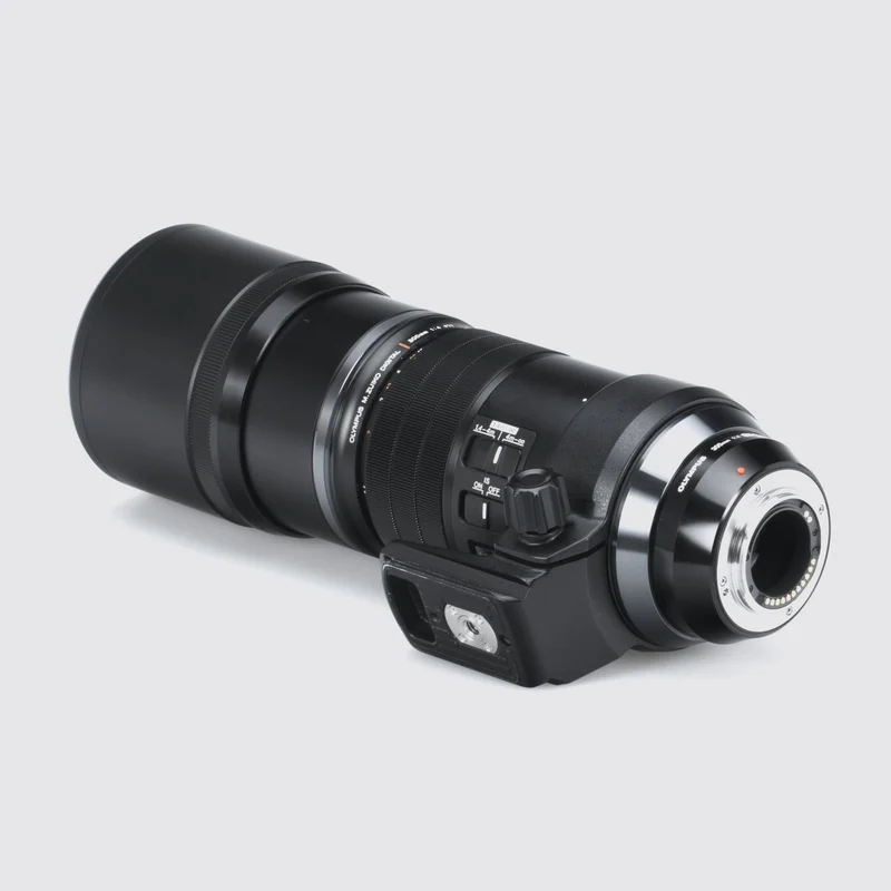 4/300mm IS PRO