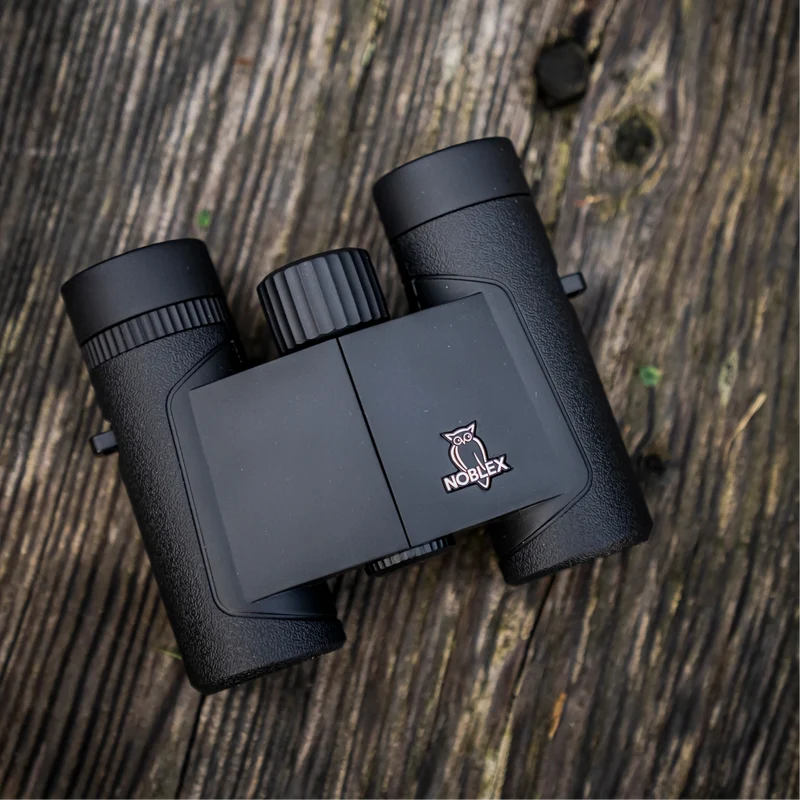 NF 8x25 inception