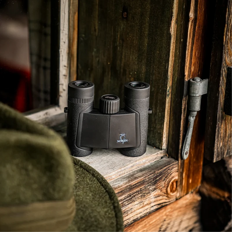 NF 8x25 inception