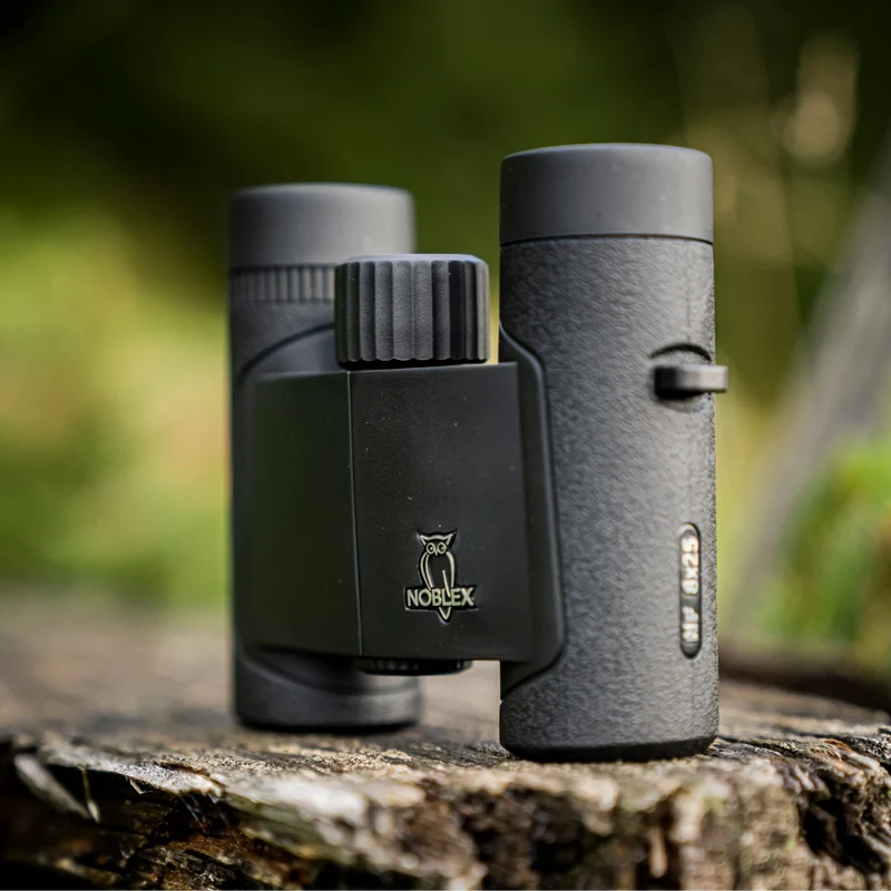 NF 8x25 inception