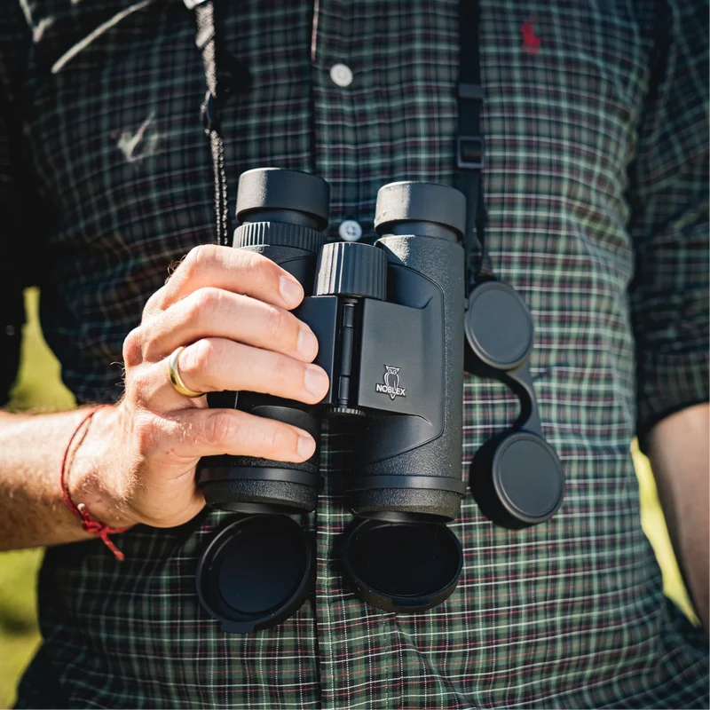 NF 8x42 inception