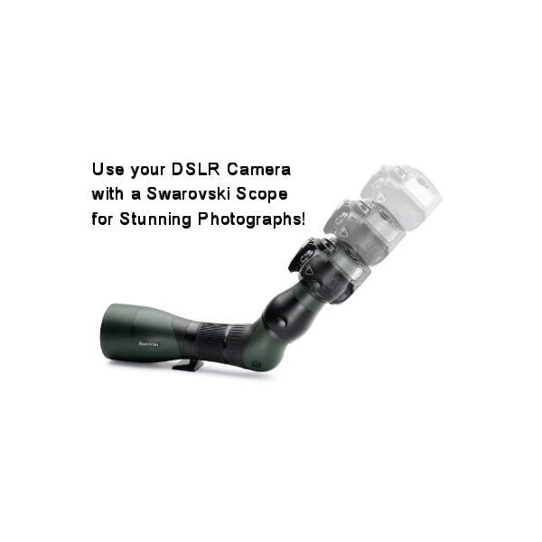 Swarovski ATX Angled Eyepiece Module