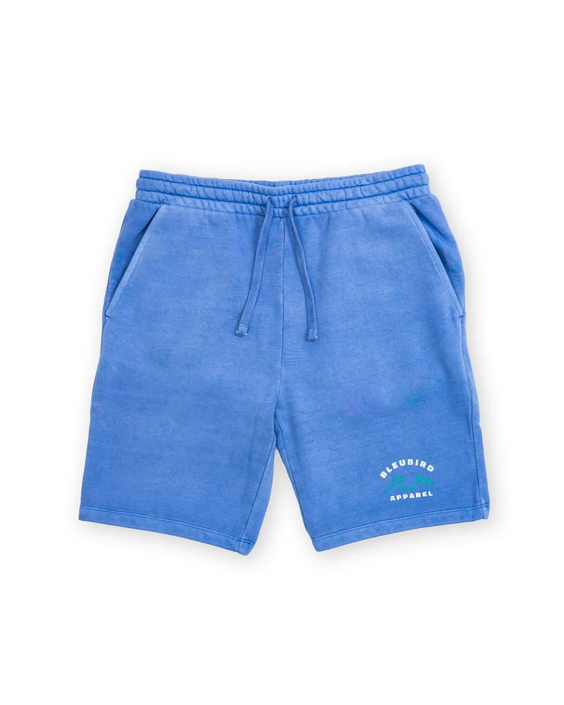 Ocean Horizon Mens Shorts