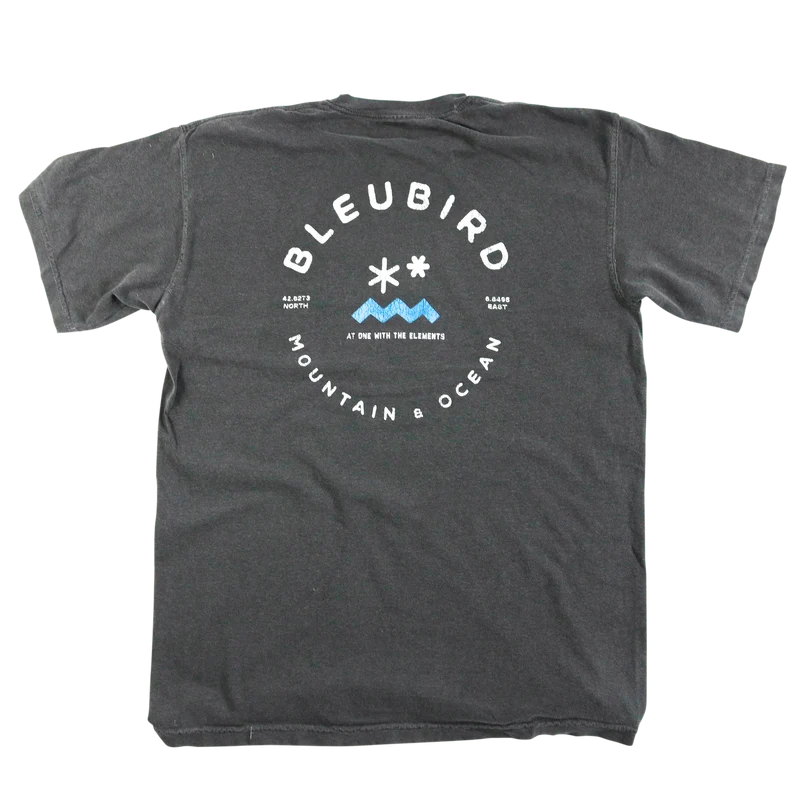 Charcoal Original Tee