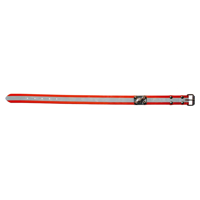 Biothane® Schweißhalsung, orange, B-Th.Schweißhal.orange 55cm