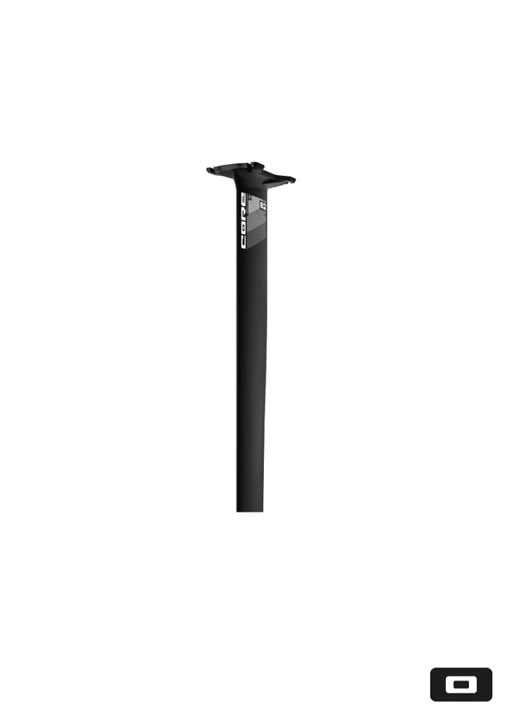 CFS CARBON MAST