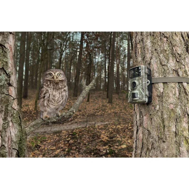 Technaxx Caméra pour animaux sauvages 1080p TX-256