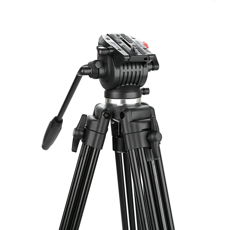 Caruba Videostar 177 Pro Trépied Vidéo + Tête à amortissement liquide