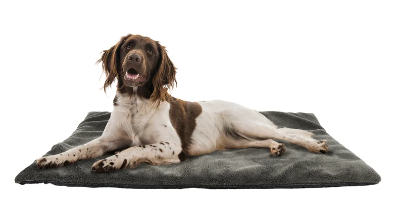Hunde-Thermobett