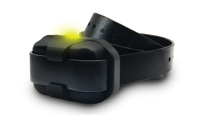 DOGTRA Zusatzhalsband für 640X / 642X
