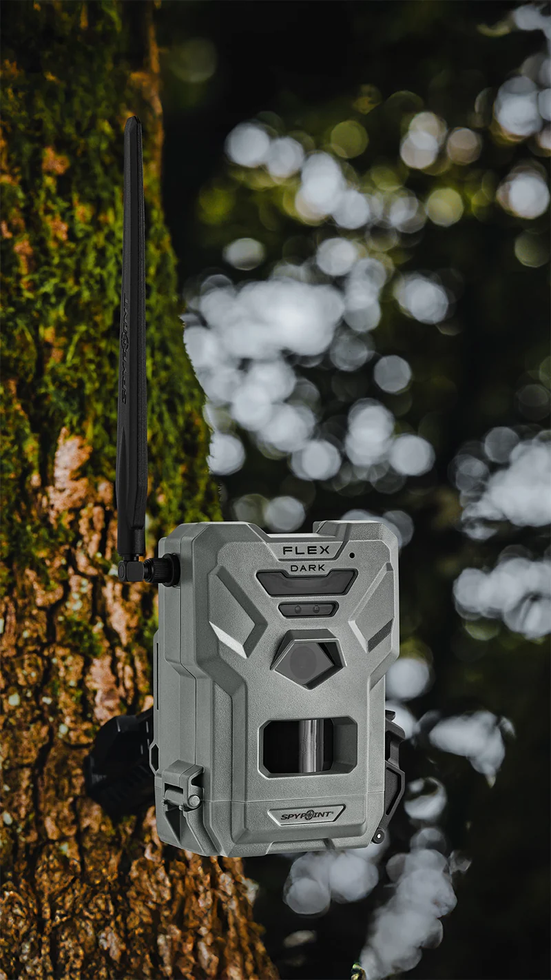 SPYPOINT Flex-Dark Wildkamera