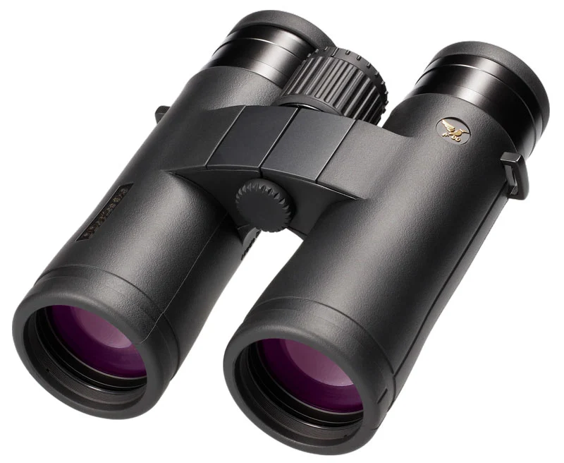 HDs 10x42