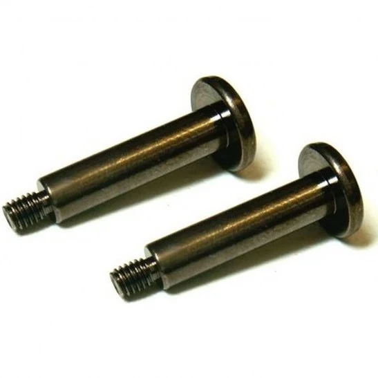 Canon Vis de Support de Microphone D84-0240-000 (2 Pièces)
