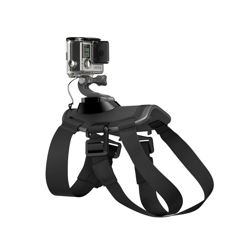 Gopro Fetch Harnais pour Chien