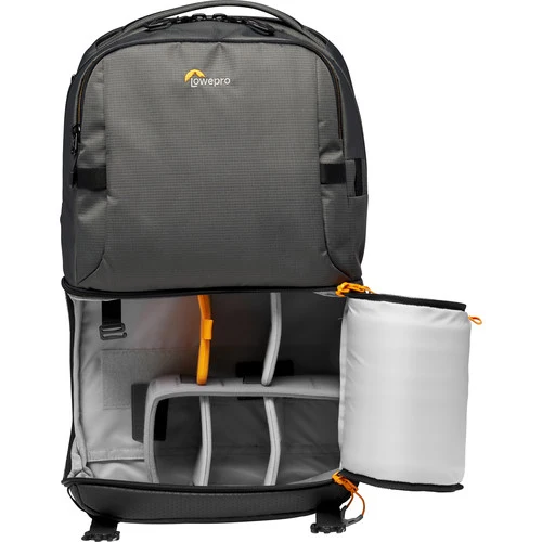 Lowepro Fastpack BP 250 AW III gris